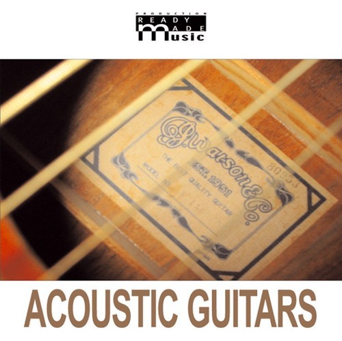 Acoustic Guitars